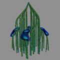 120px-Corliss_Evolution.jpg